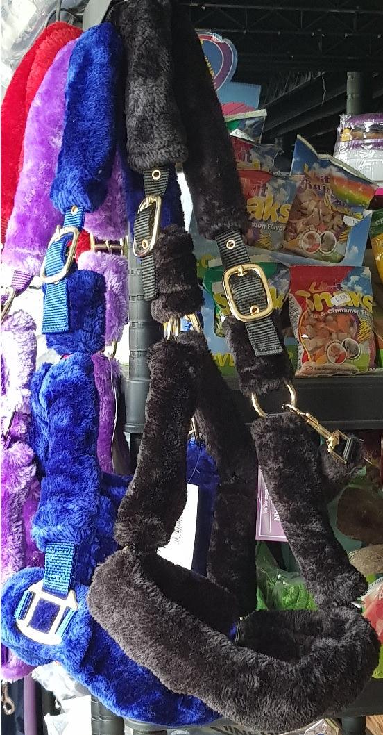 Licol Kingston - SHOPHORSE